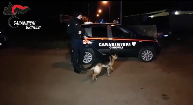 In esecuzione questa mattina un blitz dei carabinieri