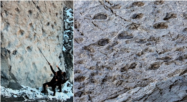 Parco dello Stelvio, scoperte migliaia di orme di dinosauri lasciate 210 milioni di anni fa. «Piste lunghe centinaia di metri»