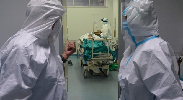 Lebbra, la malattia torna in Europa dopo 40 anni: 5 casi registrati in due Paesi. Sintomi, rischi e terapie