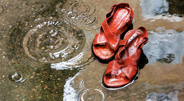 Femminicidio, il 17 dicembre entra in vigore la legge: pene più severe, consenso e prevenzione. «È il riconoscimento giuridico di un'emergenza sociale» Femminicidio, il 17 dicembre entra in vigore la legge: pene più severe, consenso e prevenzione. «È il riconoscimento giuridico di un'emergenza sociale»