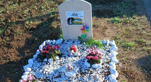 L'ultima cuccia, primo cimitero salentino dedicato a cani e gatti