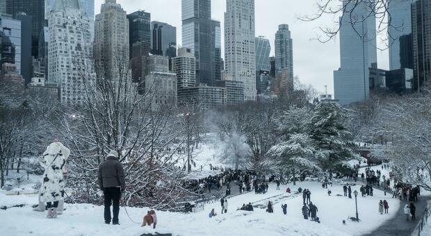 New York, tempesta di neve: dichiarato lo stato d'emergenza: 9mila voli cancellati