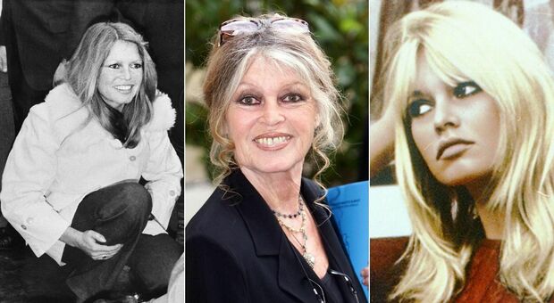 https://statics.cedscdn.it/photos/MED/2025/12/28/9267812_28110655_brigitte_bardot_morta.jpg