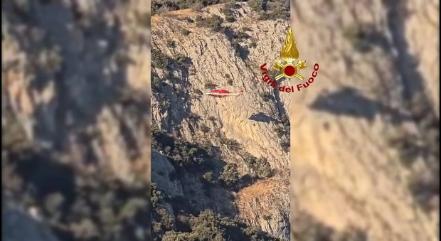 Camoscio rimane impigliato con la zampa in una corda su una vecchia palestra di roccia: salvato dai soccorritori calati dall'elicottero VIDEO