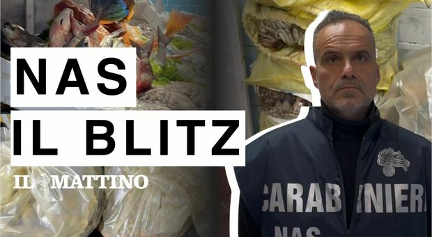 Cronaca Campania