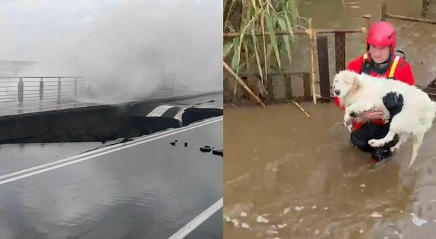 Il ciclone Harry si abbatte su Sicilia, Calabria e Sardegna: oggi ...