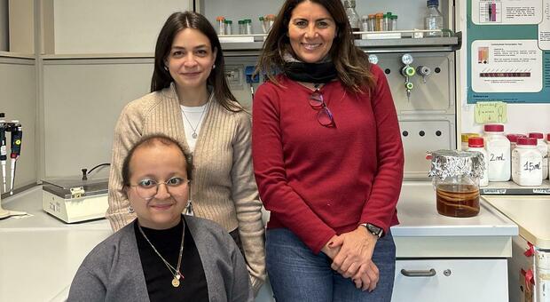 Smartag, l?etichetta naturale contro gli sprechi alimentari