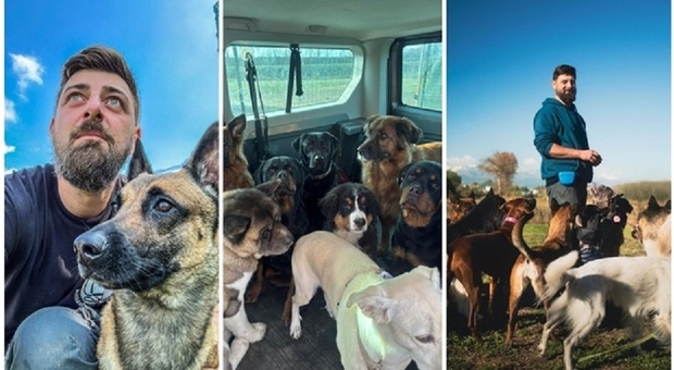«Ho lasciato il lavoro come dirigente per inseguire il mio sogno. Ora gestisco l'asilo per cani più grande d'Italia, sono felice»