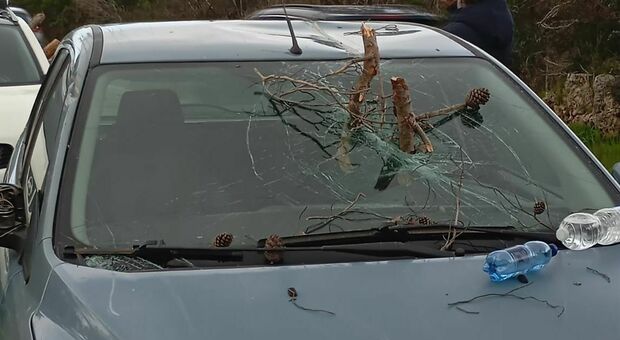 Auto investita da grossi rami, paura sulla provinciale