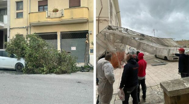 Vento forte e mareggiate, la Puglia fa la conta dei danni: alberi caduti, allagamenti e disagi