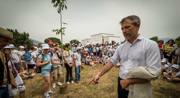  Pompei, la linea dura: «Liti e gestione opaca, guide fuori dagli Scavi» 