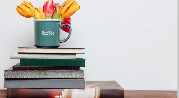 immagine I libri imperdibili del mese di febbraio: novità fresche di stampa per appassionati di lettura