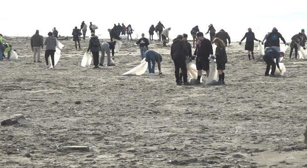  Giugliano, rifiuti dal mare: ripulito il regno delle tartarughe 