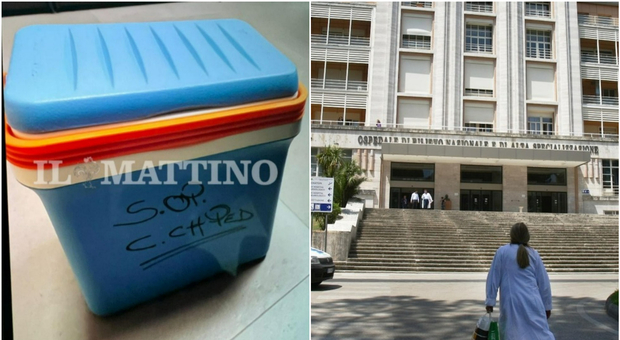  La morte di Domenico Caliendo, il cuore in un box per le gite: così inizia il dramma 