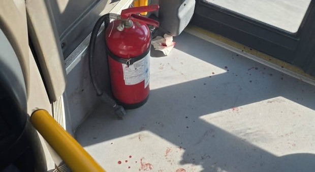  Paura e sangue sul bus, studente ferisce autista: «Atto violento e assurdo» 