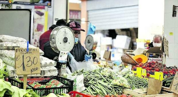 immagine Guerra Iran, «i prezzi di frutta e verdura aumenteranno del 30%», l'allarme nei mercati romani. Sale anche la benzina