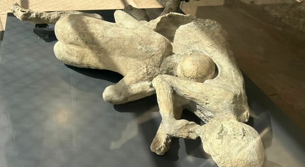  Pompei, esposizione nella Palestra grande degli scavi con i corpi in gesso delle vittime dell'eruzione del 79 d.c. 