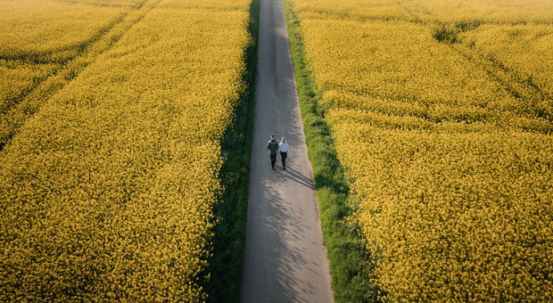  Il "giardino" della Danimarca: tappeti fioriti tra Fionia e le sue isole 