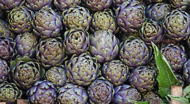  Sagre Italia 2026, ecco quelle primaverili pi? curiose e meno conosciute in Italia 