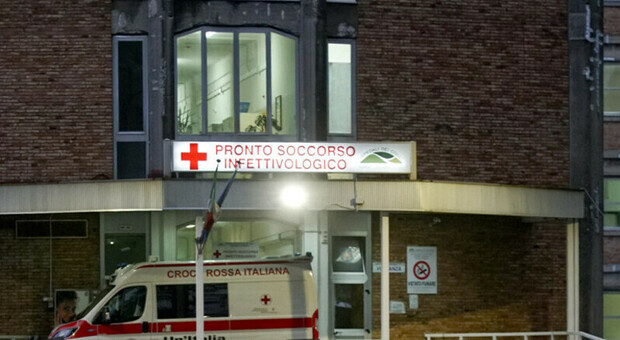  Epatite A a Napoli, Manfredi firma l'ordinanza: vietato il consumo di frutti di mare crudi nei ristoranti 