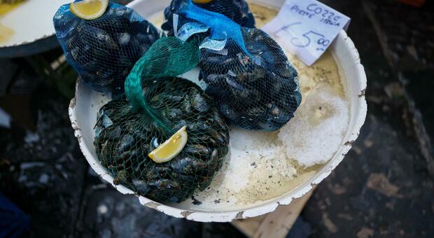  Napoli, salta la zuppa di cozze. Pescherie in allarme: «Incassi dimezzati» 