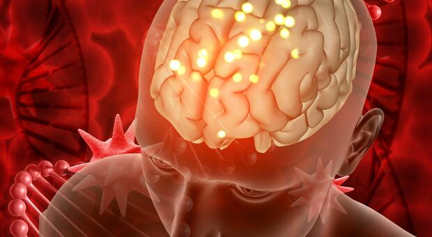 Allerta meningite: focolaio in Europa e casi tra i giovani. Cosa sta succedendo e perché anche l’Italia alza la guardia