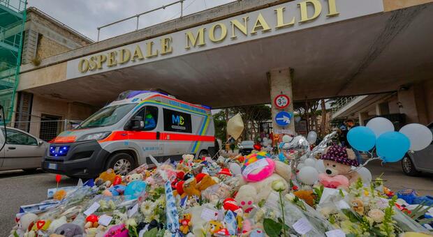  Domenico Caliendo, al Monaldi un ulivo per ricordarlo: «Non accada mai più» 