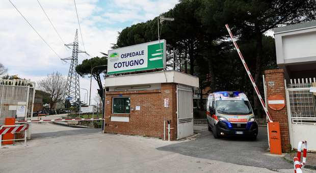  Epatite A a Napoli, 60 ricoverati all'Ospedale Cotugno: «89 da inizio marzo, un picco assoluto» 