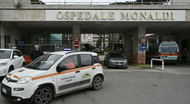 Cronaca Campania