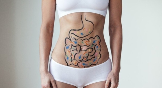 https://statics.cedscdn.it/photos/MED/2026/03/28/9442072_28131715_9413687_13102209_intestino_1_.jpg