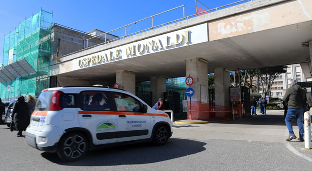 Cronaca Campania