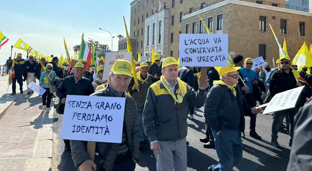 Protesta degli agricoltori a Bari: «Costi alle stelle e campagne al collasso»