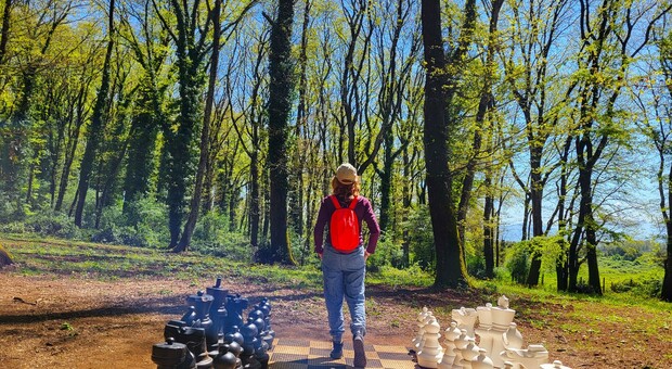  Ponti di primavera nel Lazio: 3 itinerari facili per una giornata "detox" nella natura, fra boschi, montagne e peonie 