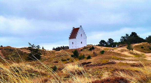  La Danimarca che non ti aspetti: sulla scia della Primavera del Nord, ecco le 8 esperienze pi? insolite e curiose 