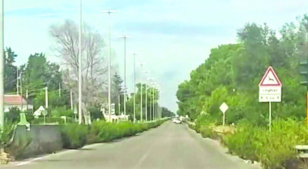 Lecce-San Cataldo, la strada bloccata dalla burocrazia: degrado e rischi per la sicurezza