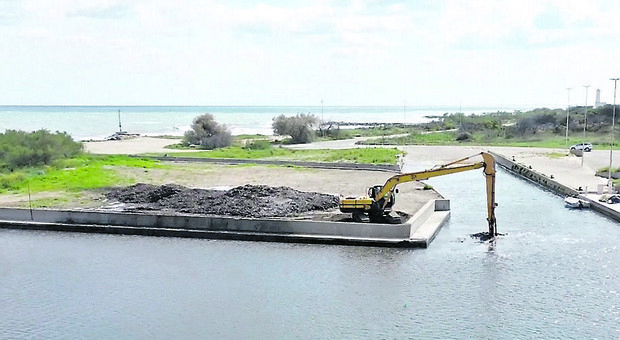 Darsena San Cataldo invasa dalle alghe: il gestore rinuncia alla concessione e accusa il Comune. Si torna punto e a capo