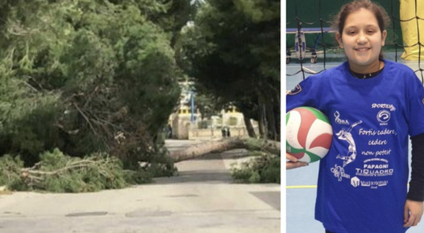 Ragazzina morta schiacciata da un albero: indagati cinque dipendenti comunali. Lo zio: «Distrutta una famiglia»