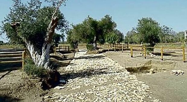 Via Appia, nasce la rete: 14 Comuni e 7 cantine. Brindisi ospiterà l'assemblea