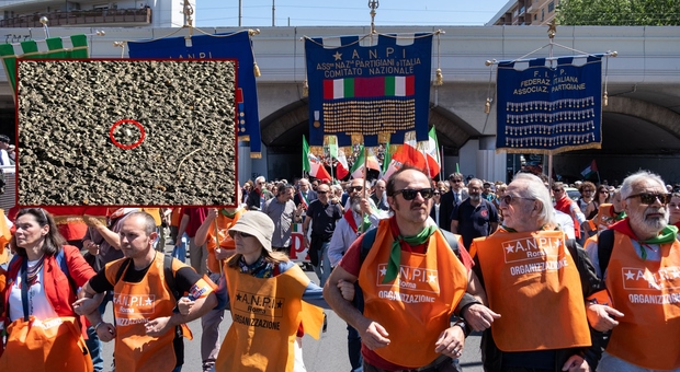 https://statics.cedscdn.it/photos/MED/2026/04/26/9495550_26001203_roma_spari_corteo_25_aprile_cosa_e_successo.jpg