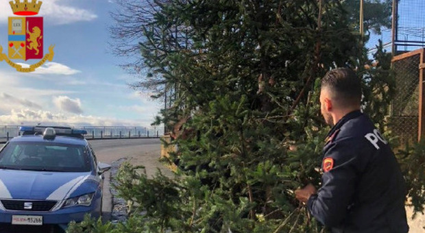  Napoli, drogati e rapinati a Posillipo: banditi in fuga con un diamante da 300mila euro 