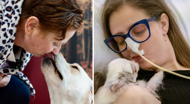 Animali in ospedale, il piano dell'Usl per permettere ai pazienti di trascorrere il ricovero con il proprio amico a 4 zampe. Le storie di Elisa e Barbara