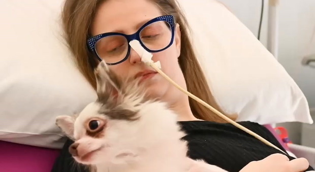 Auto : ce qu'il faut savoir — image 6