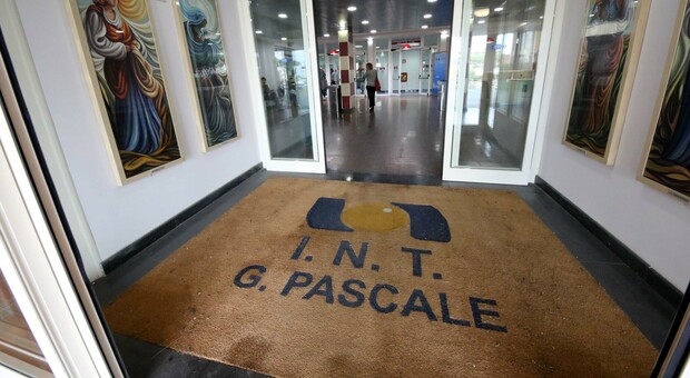 Nuove terapie contro il cancro, dal Pascale: &laquo;Capire per chi funzionano davvero&raquo;