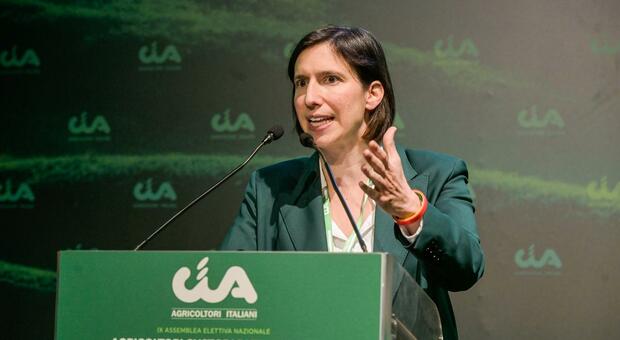 https://statics.cedscdn.it/photos/MED/2026/05/07/9518015_OBJ67172772_113708.jpg