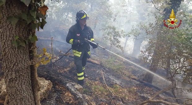 Monte San Giusto, il piromane incastrato dai video e arrestato: ha appiccato almeno 8 incendi in boschi e uliveti