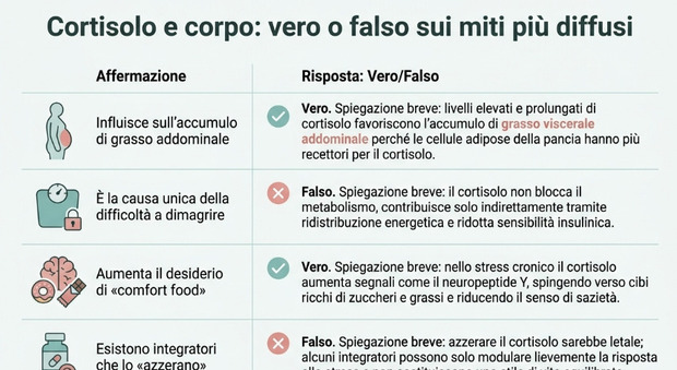 https://statics.cedscdn.it/photos/MED/2026/05/11/9525382_14075013_cortisolo.jpg