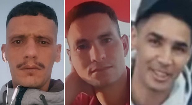 Braccianti morti, test tossicologico all'autista del pulmino: la Procura procede per incidente stradale. Coop: &laquo;Basta accuse&raquo;