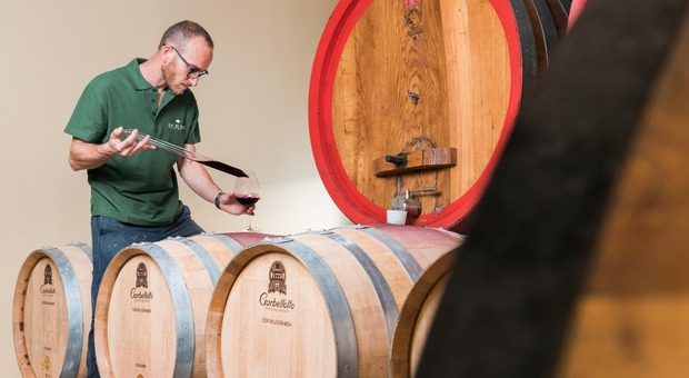 Marco Bettollini mor&igrave; asfissiato nella cisterna della cantina. Il collega che aveva provato a salvare: &laquo;Non so perch&eacute; sono entrato nell'autoclave&raquo;