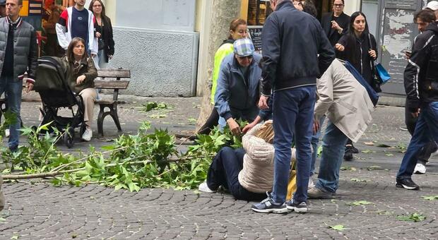 Vomero, si stacca un ramo donna colpita alla testa: &laquo;L&rsquo;albero era stato potato&raquo;