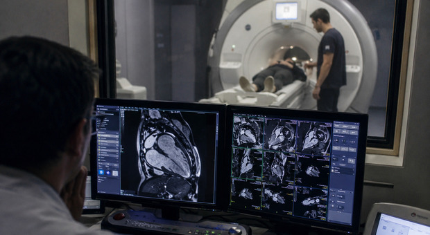 Morte improvvisa di giovani sani e sportivi, scoperte le cause: tra mutazioni genetiche e cicatrici sul cuore Morte improvvisa di giovani sani e sportivi, scoperte le cause: tra mutazioni genetiche e cicatrici sul cuore
